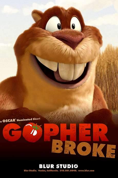 Gopher Broke